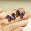 Butterfly Earstuds - Blue *S925 Earposts
