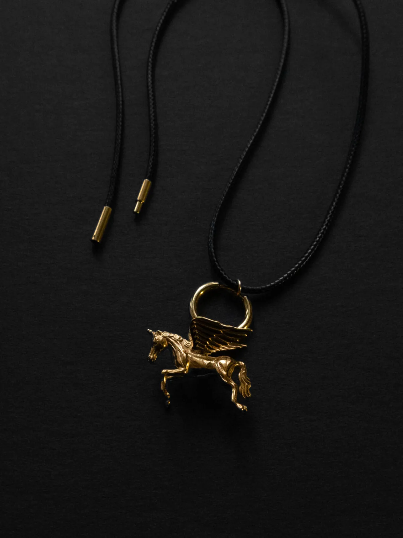 Cord Necklace - Pegasus