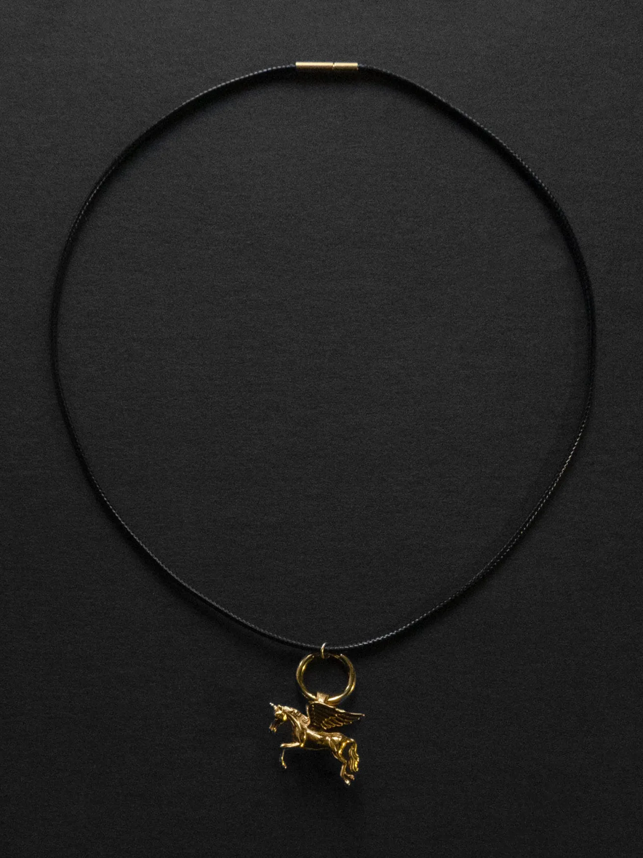 Cord Necklace - Pegasus