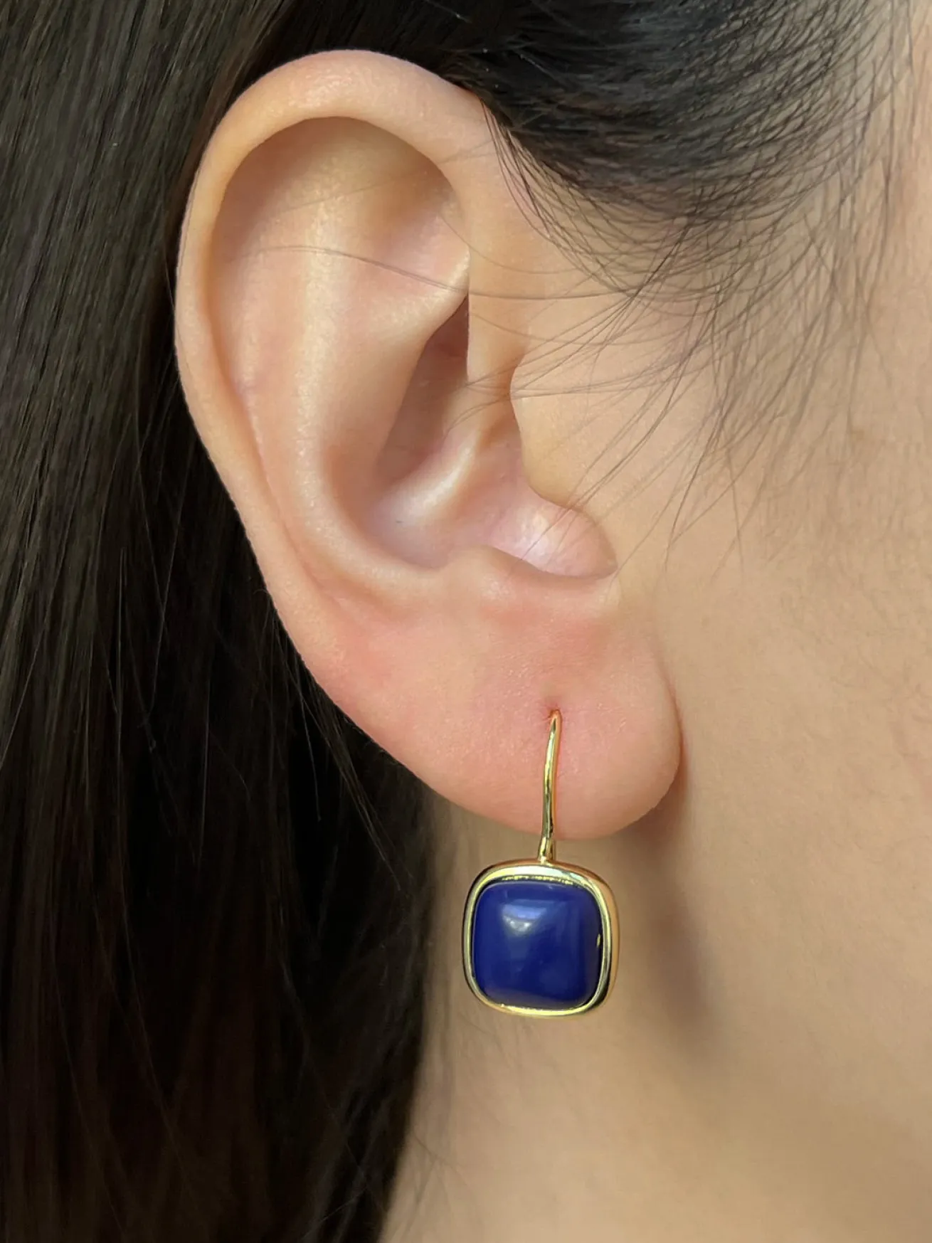 Dark Blue Stone Pendant Earrings